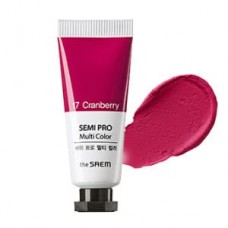 Универсальный цветной пигмент The Saem Semi Pro Multi Color 17 Cranberry, 5 мл